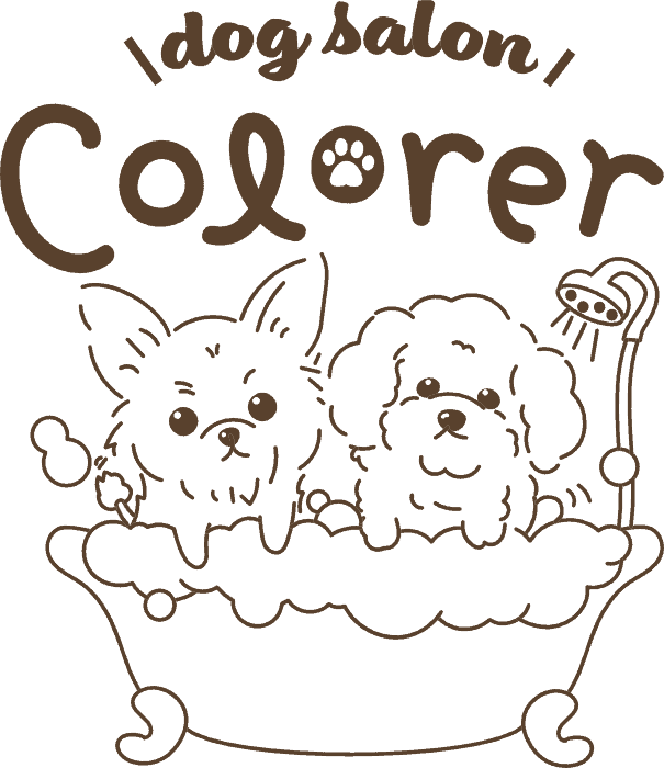 名古屋市瑞穂区のトリミングサロン Dog Salon Colore｜瑞穂運動場東駅徒歩9分